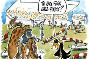 image equitation