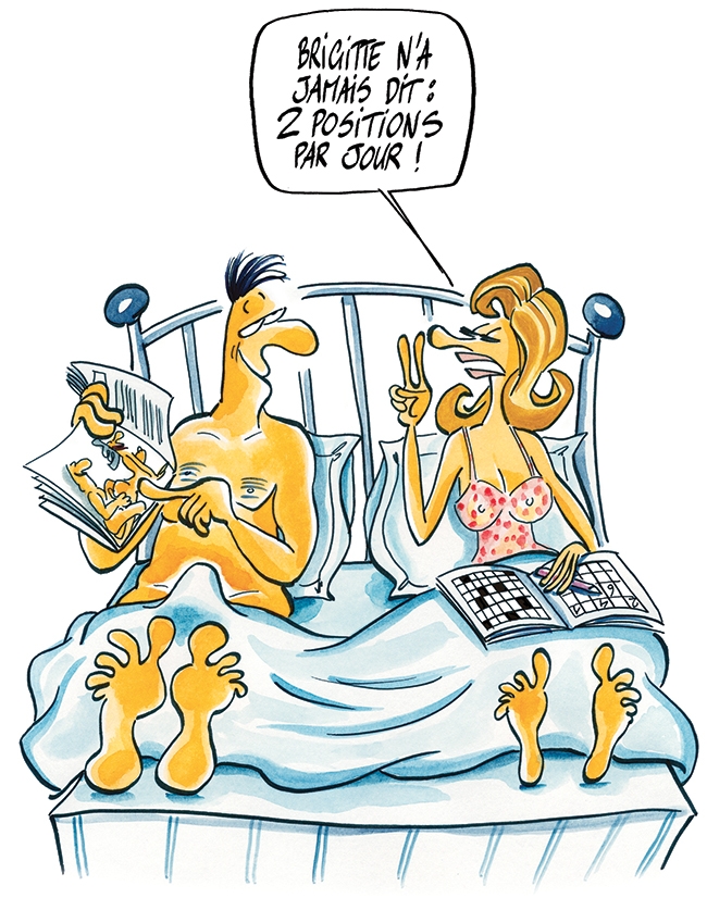 dessin Brigitte LAHAIE vous propose des positions sexuelles amusantes, tendres, ludiques ou sauvages...