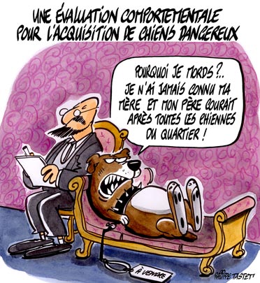 dessin : Pourquoi ces chiens sont-ils aussi méchants ?