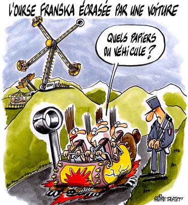 dessin : L'ourse Franska écrasée par une voiture