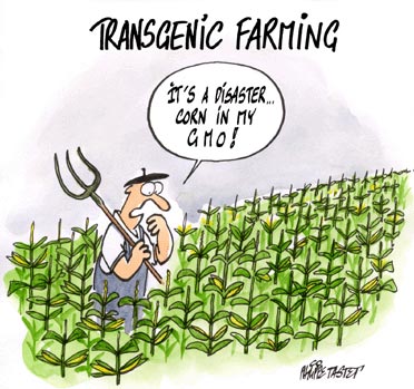 Press cartoon : Transgenic farming