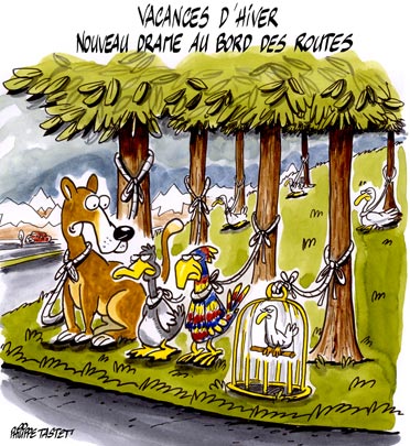 dessin : Grippe aviaire