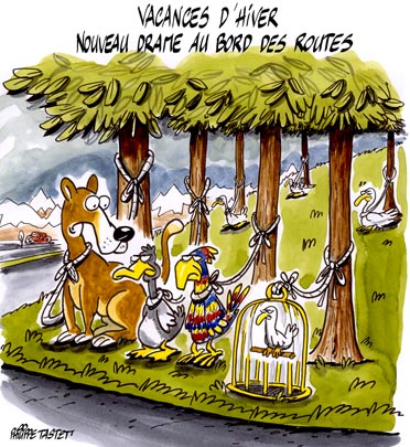 dessin : Grippe aviaire