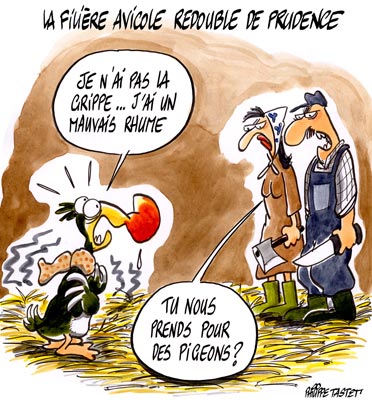 dessin : La filière avicole redouble de prudence