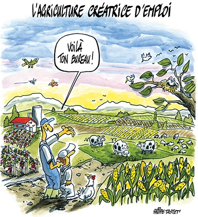 l'agriculture créatrice d'emploi