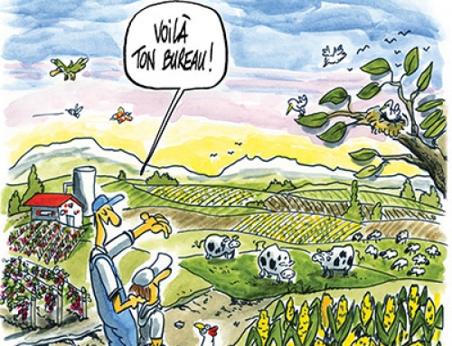 L’agriculture créatrice d’emploi