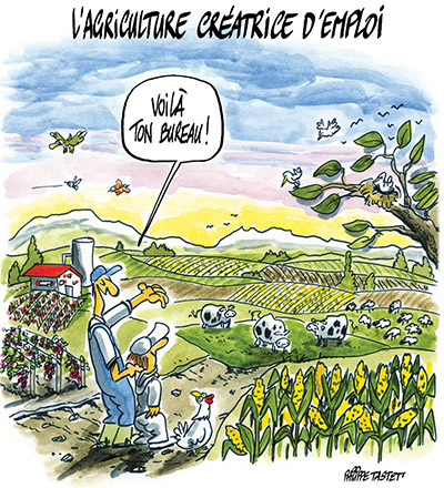 L'enseignement agricole public représente, par le nombre d'élèves, d'apprentis, d'étudiants et de stagiaires en formation continue, la deuxième communauté éducative en France.